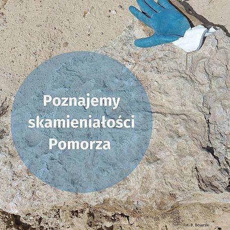 Grafika Poznajemy skamieniałości Pomorza