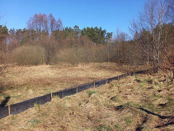 Grafika Czynna ochrona płazów w Wyspowie - podsumowanie tegorocznego sezonu