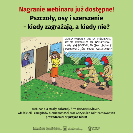 Link do nagrania webinaru Grafika Link do nagrania webinaru