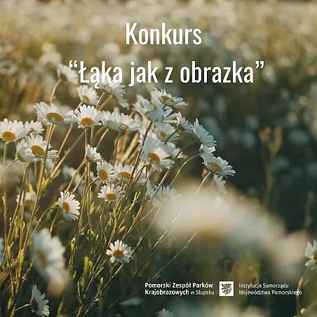 Grafika Łąka jak z obrazka – konkurs zielnikowy