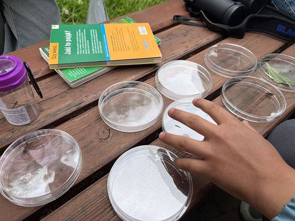Grafika Rodzinny Bioblitz za nami
