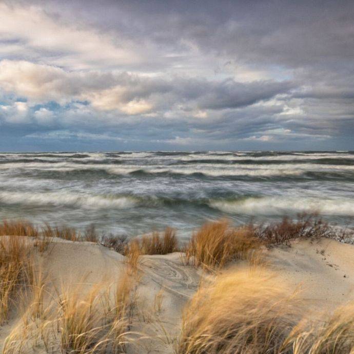 Grafika LIFE FOR DUNES
